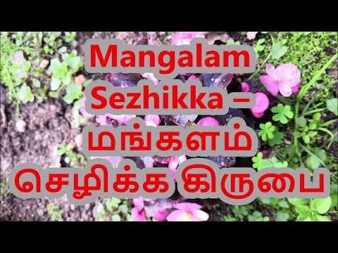 Lyrics || Mangalam Sezhikka – மங்களம் செழிக்க கிருபை - Keerthanai || Breathe Song