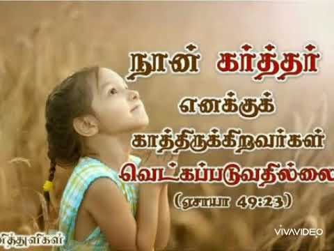 Bible verse|feb 2|Christian Whatsapp status|tamil Christian Whatsapp status song