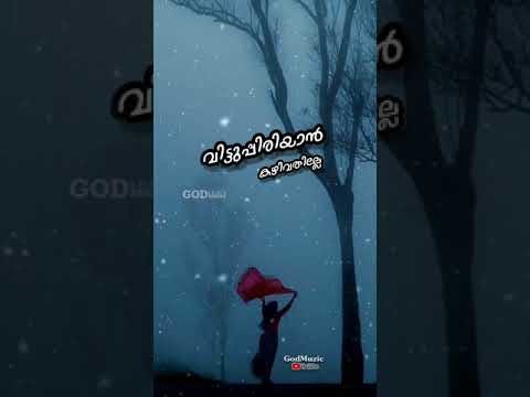 Vittupiriyan / GodMuzic /| 7Trumpets | new year status  | GodMuzic   | Malayalam Christian WhatsApp