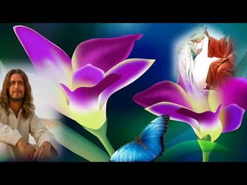 Daivam Thannathallathonnum/ Christian Devotional/Malayalam Song
