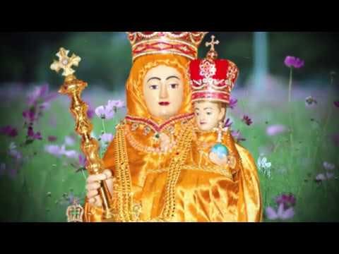 Unnai Thedi Vandhen Sumai Theerum Amma | Annai Vailankanni Matha Songs